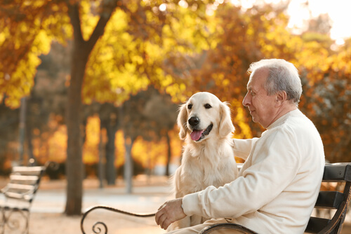 How long can it take for herniated lumbar discs to heal without surgery? shutterstock 535784200 2 how long for herniated disc to heal without surgery