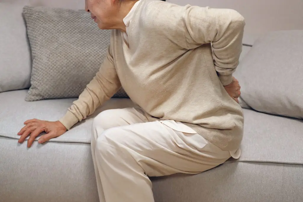 why does the bottom of my back hurt? back pain